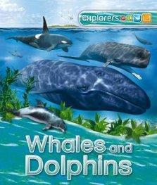 Explorers: Whales And Dolphins