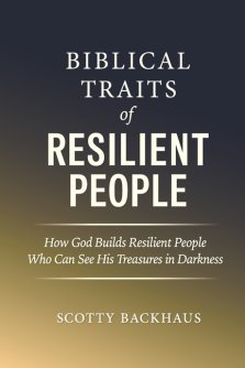 Biblical Traits of Resilient People: How God Builds Resilient People Who Can See His Treasures in Darkness
