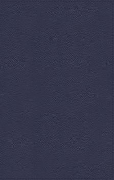 NASB, Thinline Bible, Large Print, Genuine Leather, Buffalo, Blue, Red Letter, 1995 Text, Art Gilded Edges