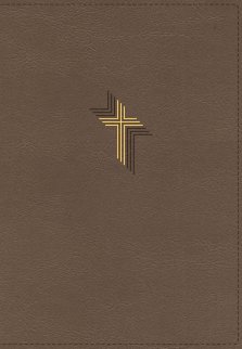 NIV, Larger Print Compact Bible, Leathersoft, Brown, Red Letter, Comfort Print