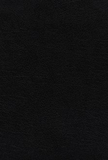 NIV, Thompson Chain-Reference Bible, Handy Size, European Bonded Leather, Black, Red Letter, Comfort Print