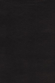 NRSVue, Holy Bible, Leathersoft, Black, Comfort Print