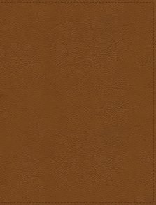 Flourish: The NIV Bible for Women, Leathersoft, Brown, Comfort Print