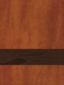 Rooted: The NIV Bible for Men, Leathersoft, Brown, Comfort Print