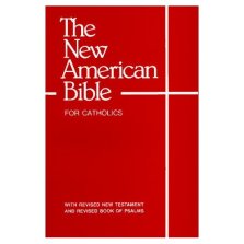 NAB Bible for Catholics: Paperback