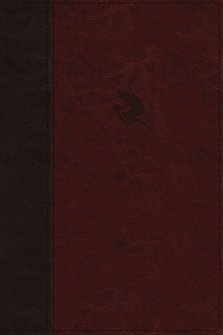 NKJV, Spirit-Filled Life Bible, Third Edition, Leathersoft, Burgundy, Thumb Indexed, Red Letter, Comfort Print