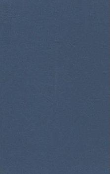 The Non-canonical Gospels