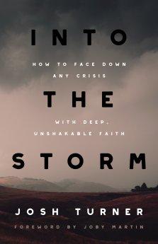 Into the Storm