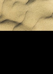 Writings of the Desert Fathers & Mothers