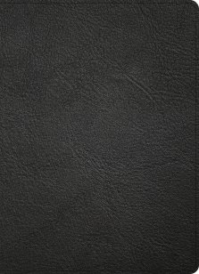 CSB Study Bible, Holman Handcrafted Collection, Black Premium Goatskin