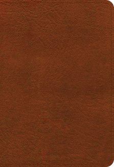 NASB Large Print Compact Reference Bible, Burnt Sienna LeatherTouch