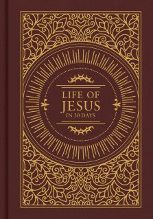 Life of Jesus in 30 Days: CSB Edition
