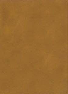 RVR 1960 Biblia ilustrada de la Tierra Santa, café símil piel con índice