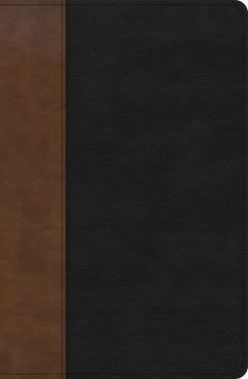 KJV Personal Size Giant Print Bible, Black/Brown LeatherTouch