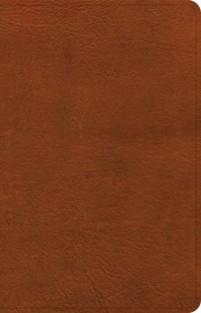 NASB Personal Size Bible, Burnt Sienna LeatherTouch