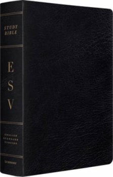 ESV Study Bible, Large Print, Genuine Leather, Black, Concordance, 20,000+ Study Notes, Maps