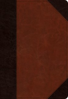 ESV Student Study Bible (TruTone, Brown/Cordovan, Portfolio Design)