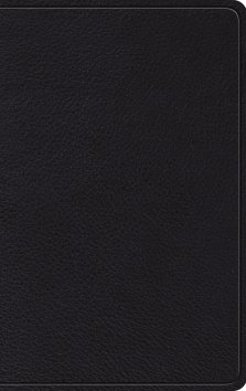 ESV Thinline, Bible, Black, Leather, Red Letter, Maps, Concordance, Ribbon Marker, Pagination Matches ESV Pew Bibles