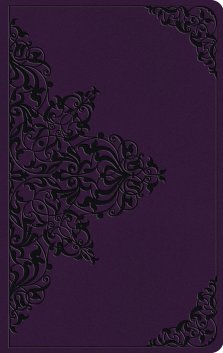 ESV Large Print Value Thinline Bible