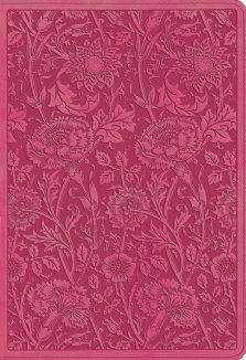 ESV Student Study Bible (TruTone, Berry, Floral Design)