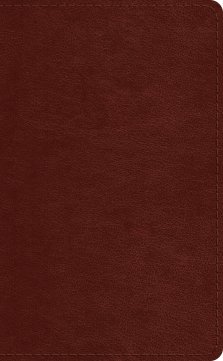 ESV Pocket Bible