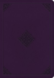 ESV Single Column Journaling Bible, Large Print (TruTone, Lavender, Ornament Design)
