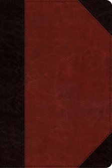 ESV Study Bible, Personal Size (TruTone, Brown/Cordovan, Portfolio Design)