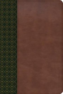 RVR 1960 Biblia de Estudio Scofield, verde oscuro/casta