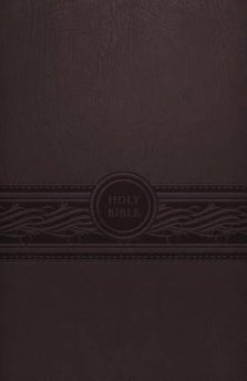 MEV Personal Size Large Print Bible