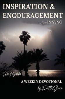 INSPIRATION & ENCOURAGEMENT from IN SYNC: Sea of Galilee - A Weekly Devotional