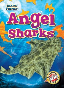 ANGEL SHARKS