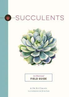 Succulents