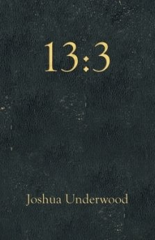 13:3
