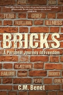 Bricks: A Personal Journey to Freedom