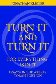 Turn It and Turn It for Everything Is in It: Essays on the Weekly Torah Portion
