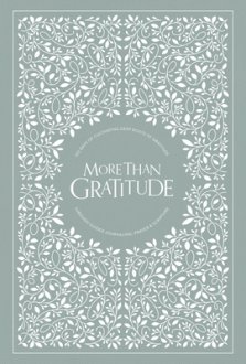 More Than Gratitude