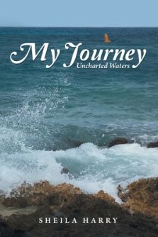 My Journey: Uncharted Waters