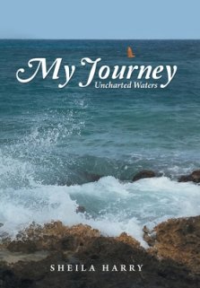 My Journey: Uncharted Waters