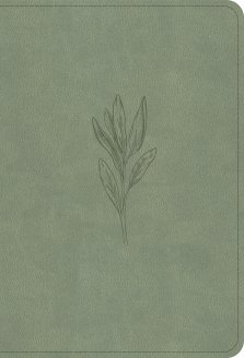 NASB Large Print Compact Reference Bible, Sage SuedeSoft LeatherTouch