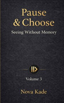 Pause & Choose: Seeing Without Memory