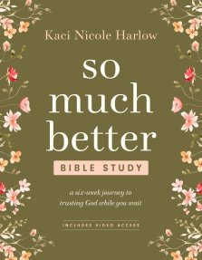 So Much Better Bible Study with Streaming Video Access