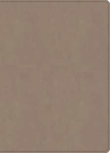 KJV Single-Column Wide-Margin Bible, Sand Leathertouch