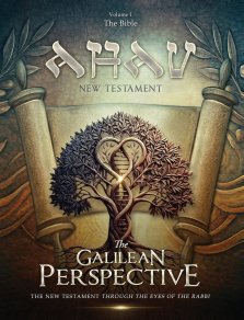 AHAV NEW TESTAMENT Volume 1: The Bible: The Bible