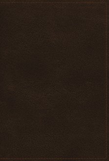 NIV Study Bible, Fully Revised Edition (Study Deeply. Believe Wholeheartedly.), Genuine Leather, Calfskin, Brown, Red Letter, Comfort Print