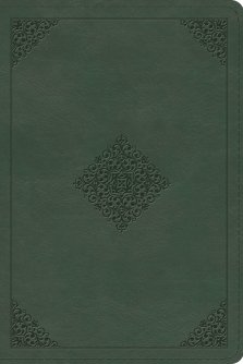 ESV Study Bible, Personal Size (TruTone, Quiet Forest, Ornament Design)