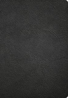 CSB Super Giant Print Reference Bible, Digital Study Edition