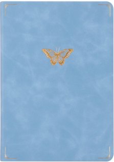 Hosanna Revival Notebook: Bethany Theme