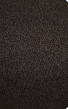 ESV Thinline Bible, Red Letter (Buffalo Leather, Deep Brown)