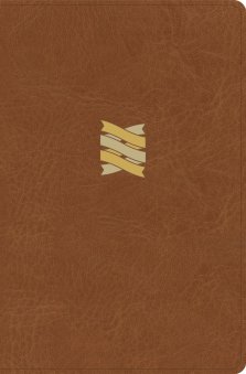 CSB Connecting Scripture New Testament, Brown LeatherTouch