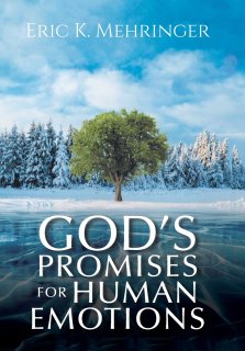 God's Promises for Human Emotions